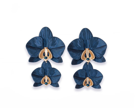 Phalaenopsis Gemina Azul Noche