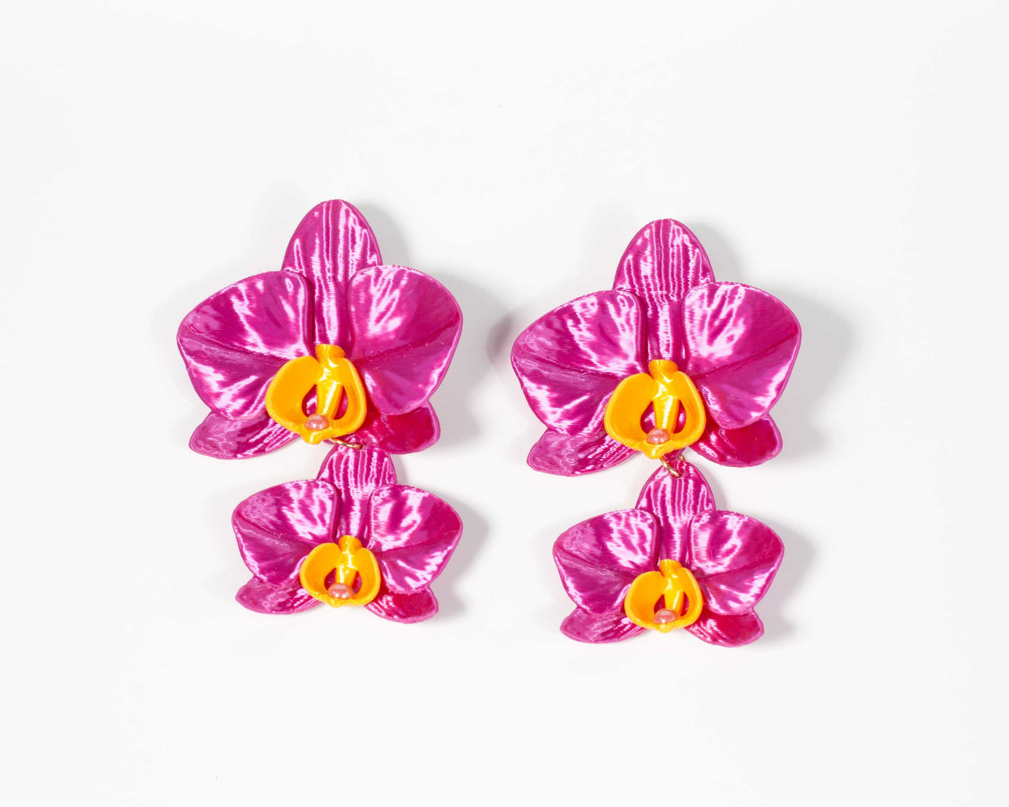 Phalaenopsis Gemina Azul Noche (Copia)