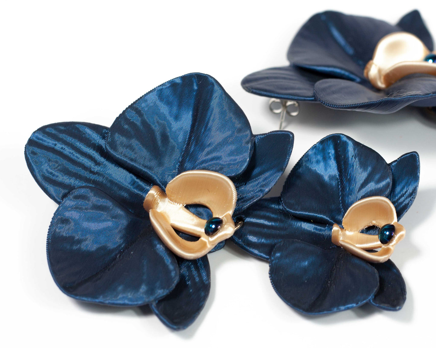 Phalaenopsis Gemina Azul Noche