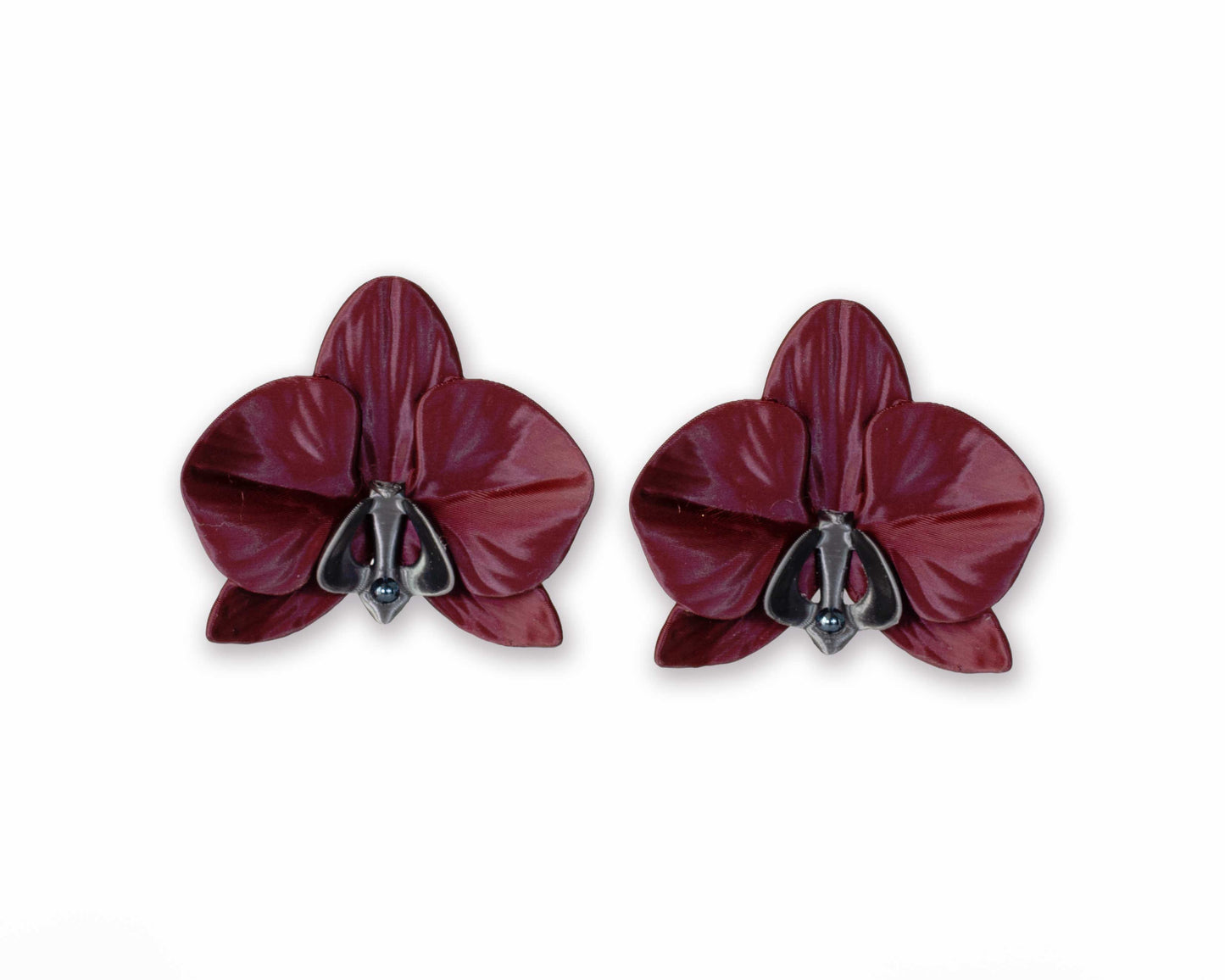 Orchis Phalaenopsis Burgundy