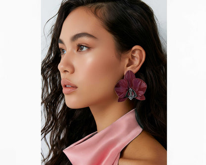 Orchis Phalaenopsis Burgundy