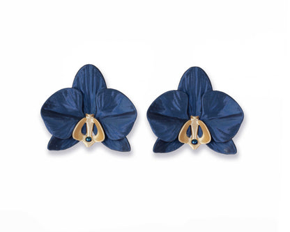 Orchis Phalaenopsis Azul Noche