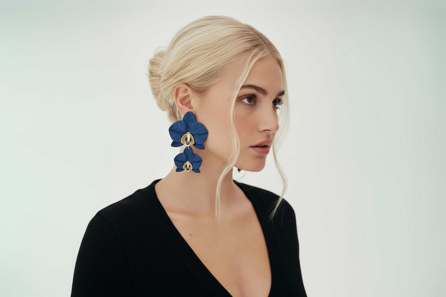 Phalaenopsis Gemina Azul Noche