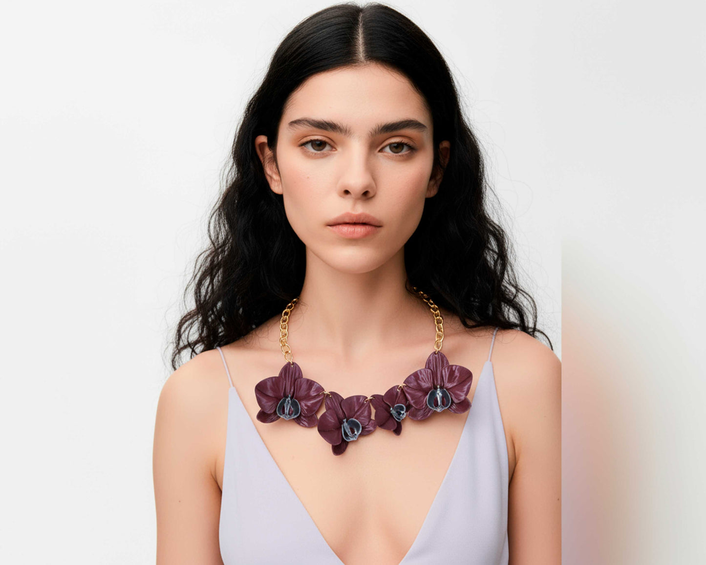 Phalaenopsis Majestic Burgundy