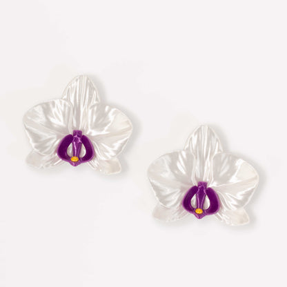 Orchis Phalaenopsis Blanca