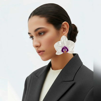 Orchis Phalaenopsis Blanca