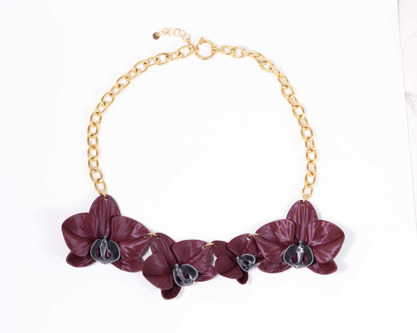 Phalaenopsis Majestic Burgundy