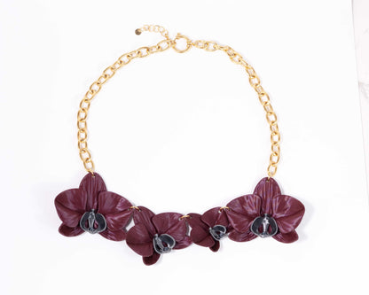 Phalaenopsis Majestic Burgundy