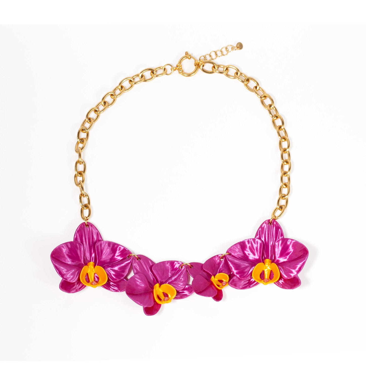 Phalaenopsis Majestic Fucsia