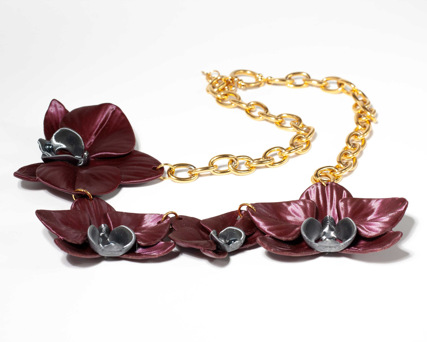 Phalaenopsis Majestic Burgundy