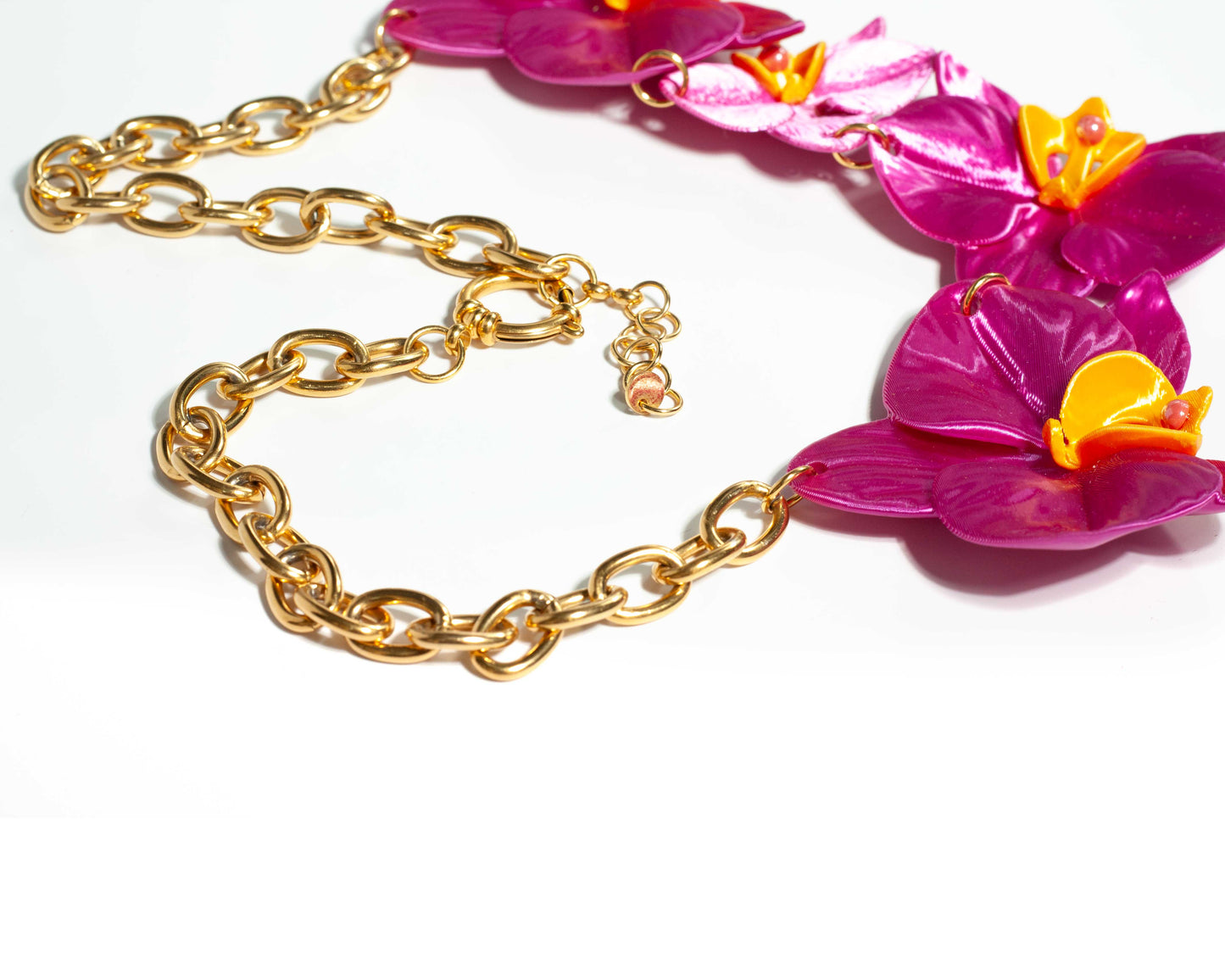 Phalaenopsis Majestic Fucsia