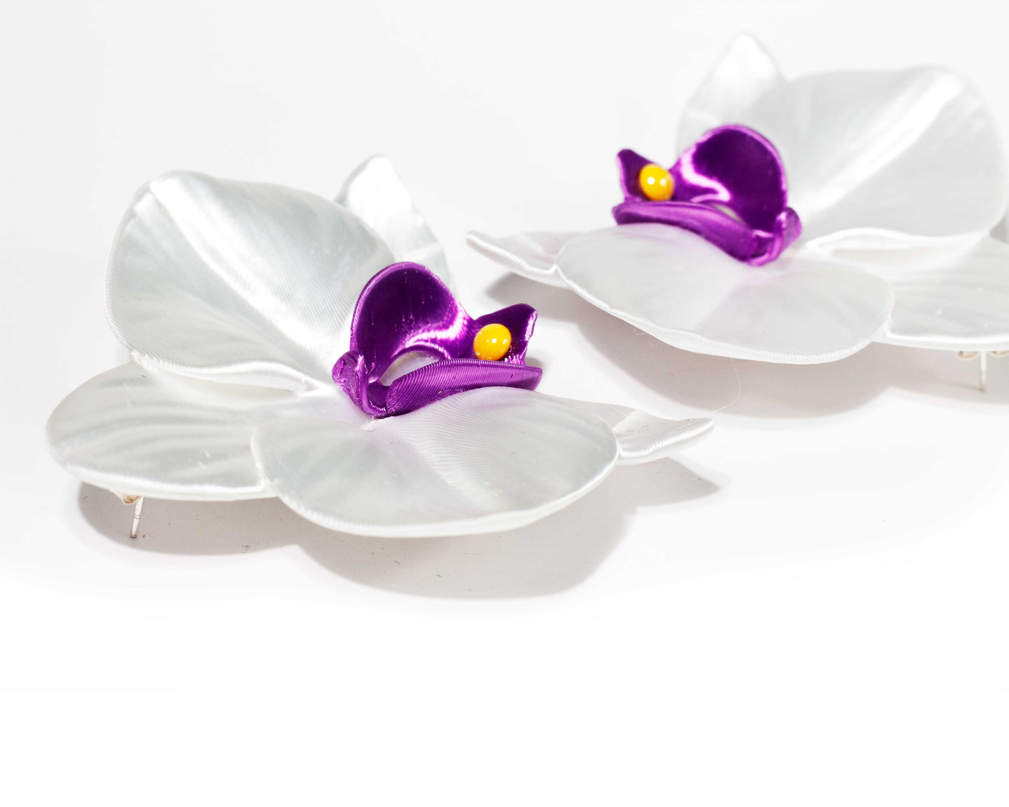 Orchis Phalaenopsis Blanca