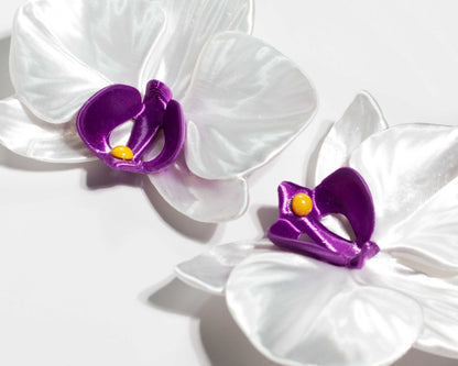 Orchis Phalaenopsis Blanca