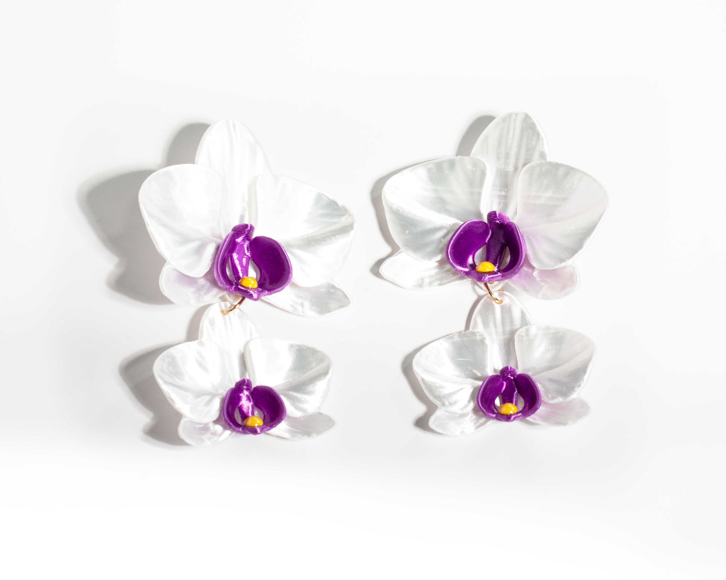 Phalaenopsis Gemina Blanca