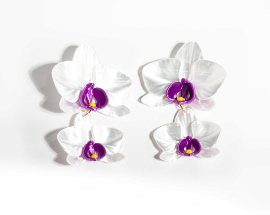 Phalaenopsis Gemina Blanca