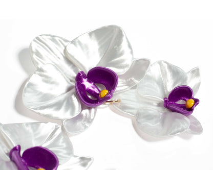 Phalaenopsis Gemina Blanca