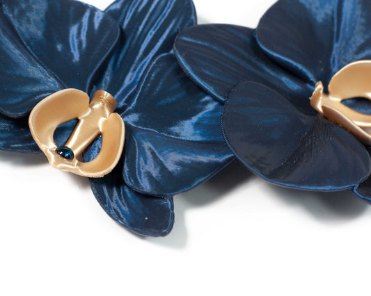 Orchis Phalaenopsis Azul Noche