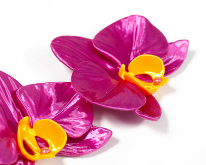 Orchis Phalaenopsis Fucsia