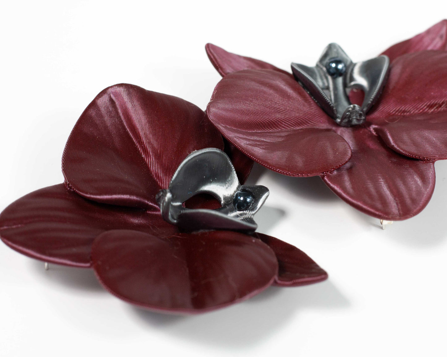 Orchis Phalaenopsis Burgundy