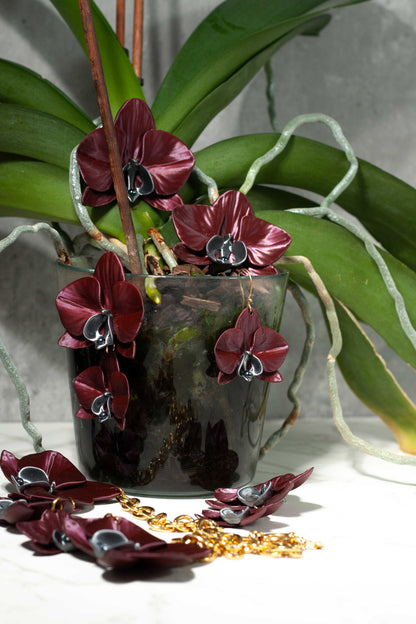 Phalaenopsis Gemina Burgundy